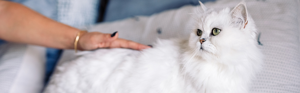 Zu Ihrer Information: